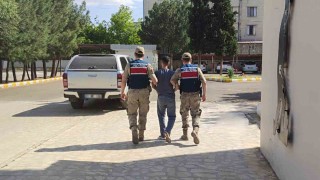 Diyarbakırda firari hükümlü jandarma ekipleri tarafından yakalandı