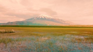 Doğa harikası Sütey Yaylasında renk cümbüşü