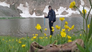 Doğaseverler 3 bin rakımlı Fatma Hatun Gölü yakınında buldukları kuzunun sahibini arıyor