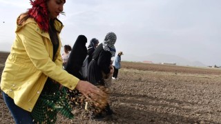 Doğubayazıtlı kadınlar toprağa hayat verdi