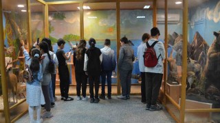 Doldurulmuş hayvan müzesi öğrencilerin ilgisini çekti