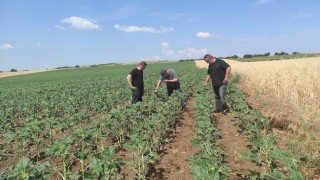 Dolu yağışından 11 köyde 16 bin dekar tarım arazisi etkilendi