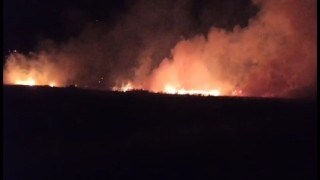 Düşen yıldırım buğday tarlasını yaktı