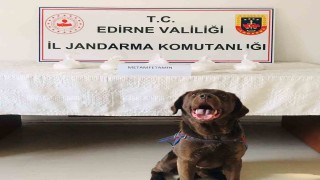 Edirnede uyuşturucu operasyonu