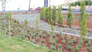 Eğilde peyzaj çalışmaları 16 bin çalı ve farklı türlerle tamamlandı