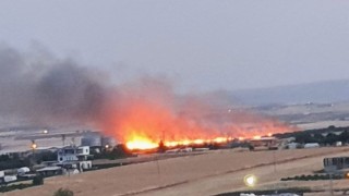 Ekili alanda çıkan yangında 70 dönümlük alan küle döndü