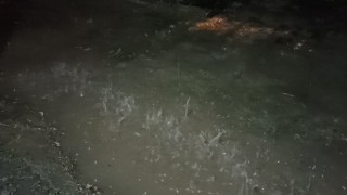 Ercişte yağmur etkili oldu