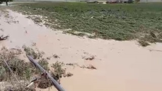 Ereğlide dolu ve sel çiftçiyi vurdu