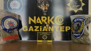 Gaziantepte 2 kilo skunk ele geçirildi