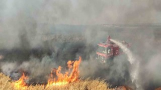 Gaziantepte 7 bin dönüm buğday tarlası yandı