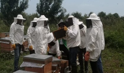 Genç arıcılara eğitim