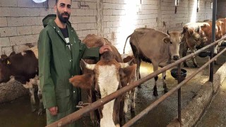 Genç çiftçi 6 inekle başladığı hayvancılıkta sayıyı 12.5 kat artırdı