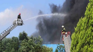 Geri dönüşümdeki yangın idari binaya da sıçradı