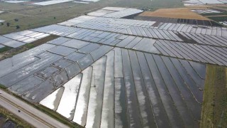 Gönen ve Manyas ovalarında çeltik ekimine başlandı