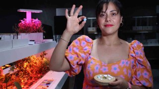 Gübre içerikli çevreci plastik