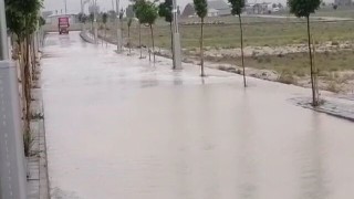 Gürpınarda sağanak sonrası su taşkınları meydana geldi