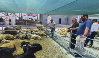 Halk Et Kombinası bayramda vatandaşın hizmetinde olacak