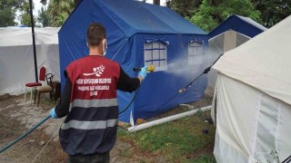 Hatayda deprem sonrası haşere üreme alanı 120 binden 1 milyona çıktı