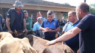 Hayvan sağlığı ve evrak denetimi yapıldı