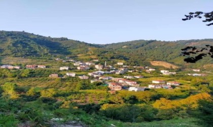 Hırsızlar, Alaplıda boş evlere dadandı