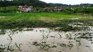 Hisarcıkta sağanak yağış sonrası tarım arazileri sular altında kaldı