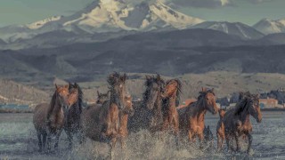 Hürmetçi Sazlığı Türkiyenin bildiği tanıdığı bir alan olacak
