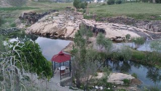 İnci kefalinin yaşamı tehlike altında