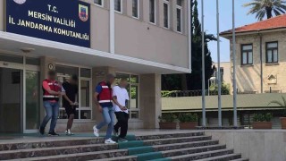 İnternet üzerinden ucuz araç vaadi dolandırıcılarına operasyon: 4 gözaltı