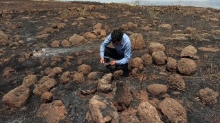 İslahiyedeki tarla yangını en büyük darbeyi çiftçiye vurdu