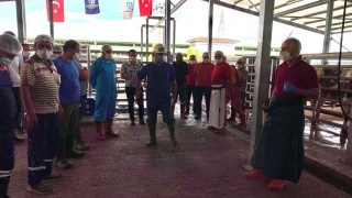 İslami usullere uygun kurban kesimi için eğitim veriliyor