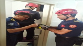İtfaiyeden 1 saatlik güvercin kurtarma operasyonu