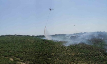 İzmirdeki orman yangını kontrol altında