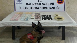 Jandarma narkotik köpeği Çömlekten kaçamadılar