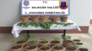 Jandarmadan Kareside uyuşturucu operasyonu