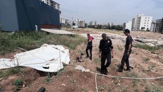 Jandarmanın dikkati yavru köpeği ölümden kurtardı