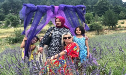 Kadın çiftçi devlet desteği ile çorak arazileri lavanta bahçesi yaptı