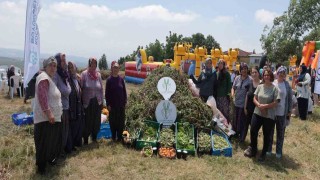 Kadın çiftçilerin yetiştirdiği arakanın ilk hasadı yapıldı