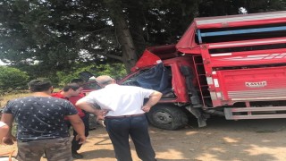 Kamyonet ağaca çarptı: 1 ölü, 6 yaralı