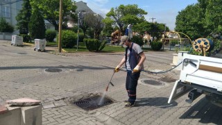 Kareside haşere ile mücadele sürüyor