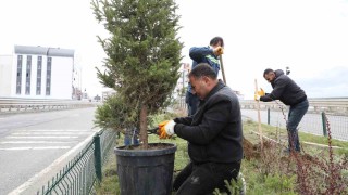 Karsta refüjler yeşilleniyor