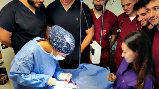 Kastamonuda hayvan hastanesi, hizmet vermeye başladı