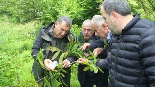Kastamonuda katil arılara karşı mücadele sürüyor