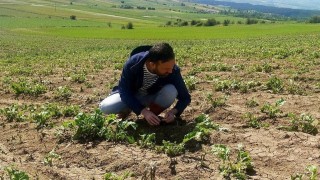 Kastamonuda selin vurduğu alanlarda hasar tespit çalışmaları devam ediyor