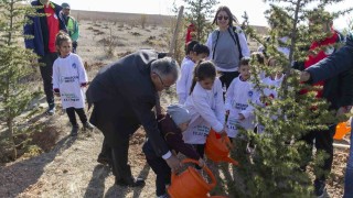 Kayseri Büyükşehirden mesire alanı, yol ve refüjlere 15 bin, ilçelere 225 bin fidan