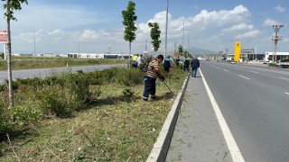 Kayseride Yabancı Otlarla Mücadele