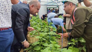 Keşanda Tarım Bölümü öğrencilerinin serada yetiştirdiği salatalıklar hasat edildi