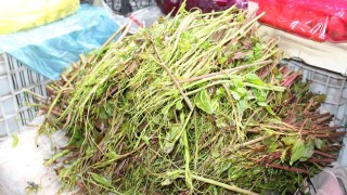 Kırçan otu pazara indi