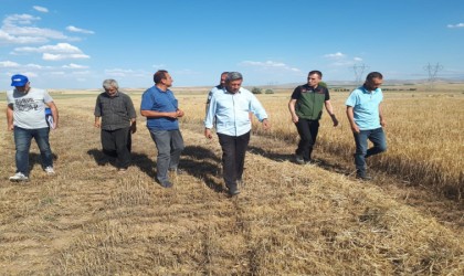 Kırşehirde ilk tarımsal ürün hasadı yapıldı