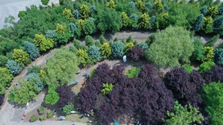 Kocaelide kişi başına düşen yeşil alan 13,5 metrekareye çıktı