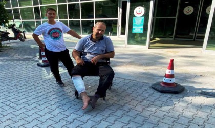 Konyada acemi kasaplar iş başında